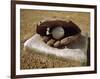 Baseball in a Baseball Glove on a Base-null-Framed Photographic Print