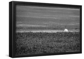 Baseball in the Field-null-Framed Poster