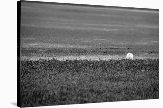 Baseball in the Field-null-Stretched Canvas