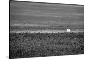 Baseball in the Field-null-Stretched Canvas