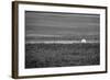 Baseball in the Field-null-Framed Photo