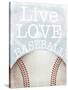 Baseball Love-Marcus Prime-Stretched Canvas