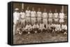 Baseball: Negro Leagues-null-Framed Stretched Canvas