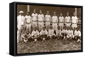 Baseball: Negro Leagues-null-Framed Stretched Canvas