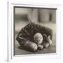 Baseball Nostalgia I-null-Framed Photographic Print