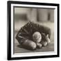 Baseball Nostalgia I-null-Framed Photographic Print