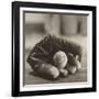 Baseball Nostalgia I-null-Framed Photographic Print