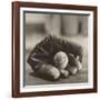 Baseball Nostalgia I-null-Framed Photographic Print