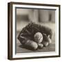 Baseball Nostalgia I-null-Framed Photographic Print