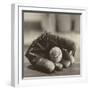 Baseball Nostalgia I-null-Framed Photographic Print