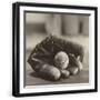 Black Frame