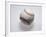 Baseball on a White Background-null-Framed Photographic Print