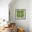 Baseball Pattern-null-Framed Giclee Print displayed on a wall