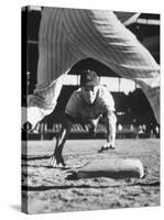 Baseball Player for Los Angeles Dodgers Maury Wills-Francis Miller-Stretched Canvas