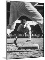 Baseball Player for Los Angeles Dodgers Maury Wills-Francis Miller-Mounted Premium Photographic Print