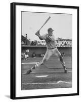 Baseball Player Frank Howard During Winter League Season-null-Framed Premium Photographic Print