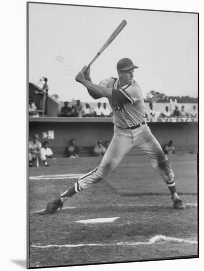 Baseball Player Frank Howard During Winter League Season-null-Mounted Premium Photographic Print