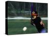 Baseball Player Hitting the Ball-Bill Bachmann-Stretched Canvas