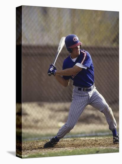 Baseball Player in Action Batting-null-Stretched Canvas