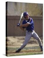 Baseball Player in Action Batting-null-Stretched Canvas