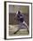 Baseball Player in Action Batting-null-Framed Photographic Print