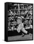 Baseball Player Orlando Cepeda Hitting a Ball-George Silk-Framed Stretched Canvas