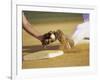 Baseball Player Sliding at a Base, and a Gloved Hand Holding a Ball-null-Framed Photographic Print