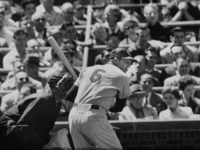 stan musial baseball stan musial baseball