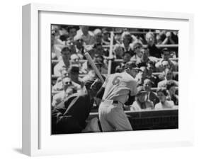 Baseball Player Stan Musial Standing at Bat-null-Framed Premium Photographic Print