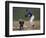 Baseball Players in Action-null-Framed Photographic Print