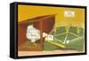 Baseball Playing Chicken-Found Image Press-Framed Stretched Canvas