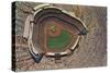 Baseball Stadium-null-Stretched Canvas