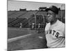 Baseball Star, Willie Mays on the Field-null-Mounted Premium Photographic Print