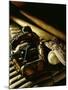 Baseball Still Life-null-Mounted Premium Photographic Print