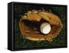 Baseball Still Life-null-Framed Stretched Canvas