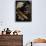 Baseball Still Life-null-Mounted Photographic Print displayed on a wall