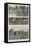 Baseball, the National Game of the United States-null-Framed Stretched Canvas