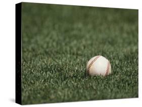 Baseball-Steven Sutton-Stretched Canvas