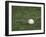 Baseball-Steven Sutton-Framed Premium Photographic Print