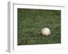 Baseball-Steven Sutton-Framed Premium Photographic Print