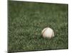 Baseball-Steven Sutton-Mounted Premium Photographic Print