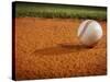 Baseball-Randy Faris-Stretched Canvas