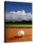 Baseball-Randy Faris-Stretched Canvas