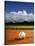 Baseball-Randy Faris-Stretched Canvas