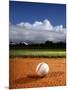 Baseball-Randy Faris-Mounted Premium Photographic Print