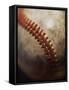 Baseball-Randy Faris-Framed Stretched Canvas