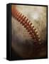 Baseball-Randy Faris-Framed Stretched Canvas