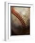 Baseball-Randy Faris-Framed Premium Photographic Print