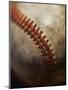 Baseball-Randy Faris-Mounted Premium Photographic Print