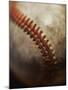 Baseball-Randy Faris-Mounted Premium Photographic Print